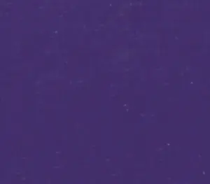 クラレテント パロニィFCテント