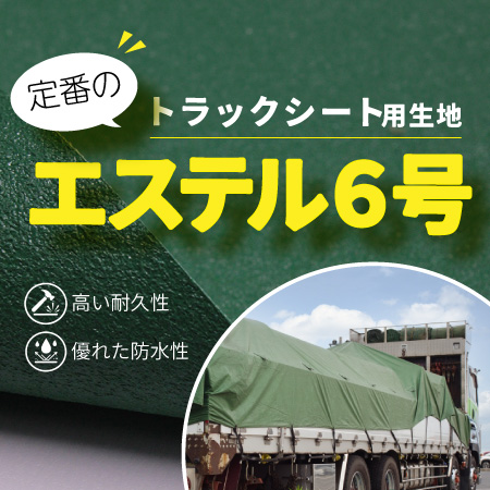 エステル6号
